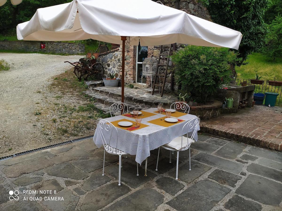 Agriturismo Paneolio Villa Collemandina Exterior photo